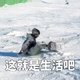 冬天一起去滑雪吧，看看有哪些是滑雪必备装备