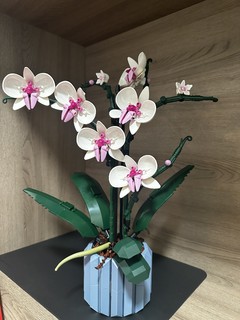 乐高花植系列10311 兰花