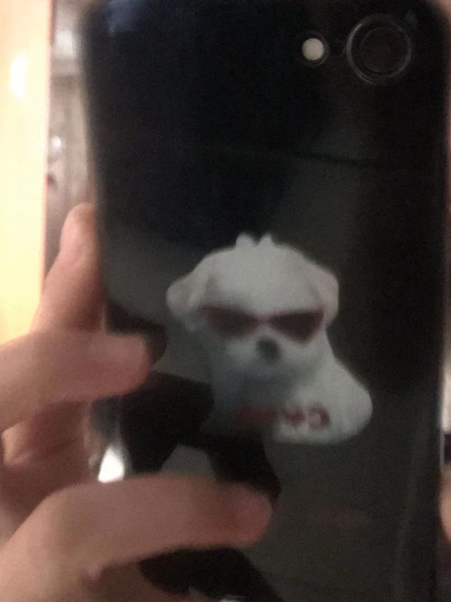 ＃iphone7小狗手机壳