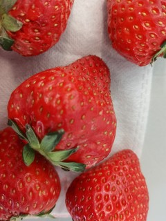 酸酸甜甜的草莓来了