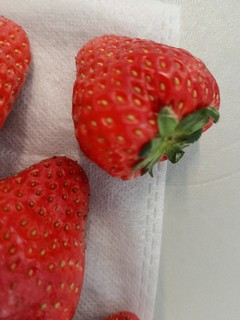 酸酸甜甜的草莓来了