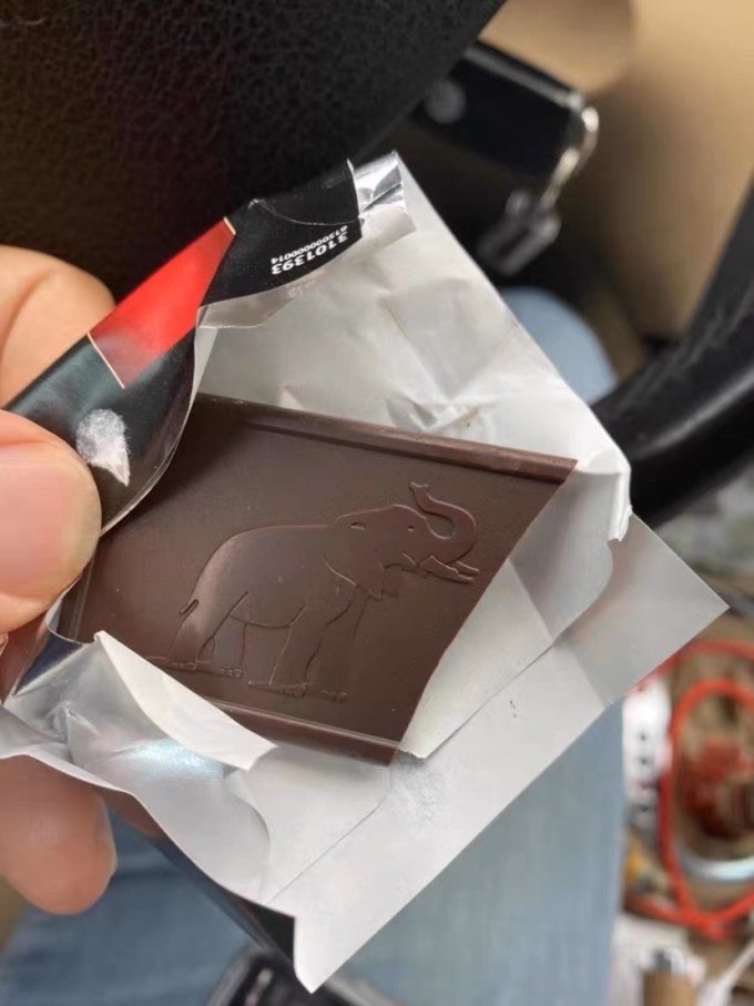 记忆深处的大象巧克力