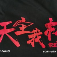 李宁T恤运动时尚系列男女同款宽松短袖文化衫AHSSB81