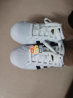 经典Adidas贝壳头小白鞋百搭经典