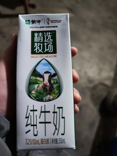 蒙牛精选牧场早餐牛奶