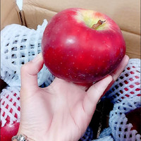 又红又大又脆的红苹果，谁不喜欢吃呢？