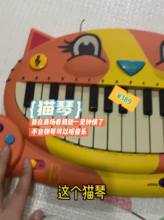 买了孩爹说质量挺好就是没大用的猫琴