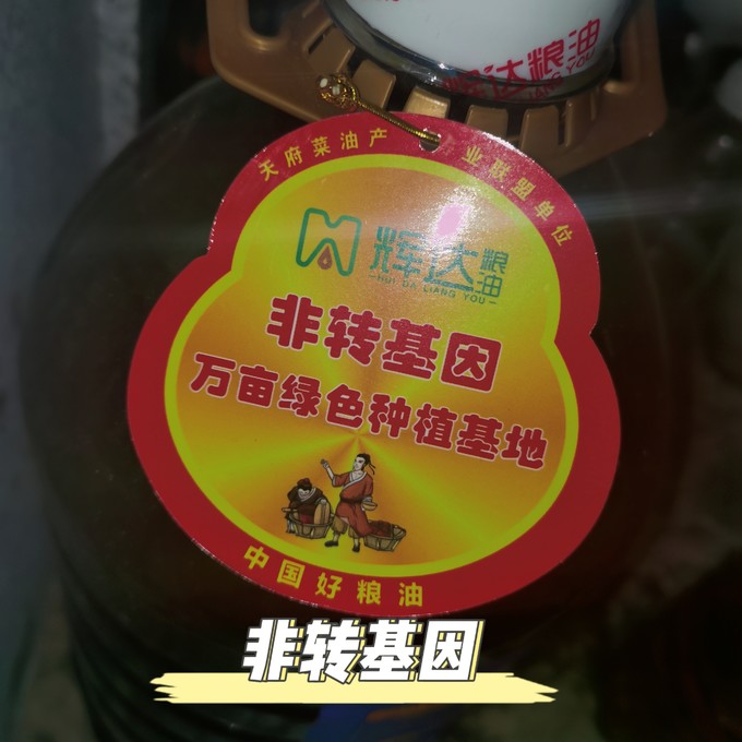 其他食用油