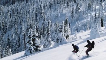 冬天我们一起去滑雪吧﻿