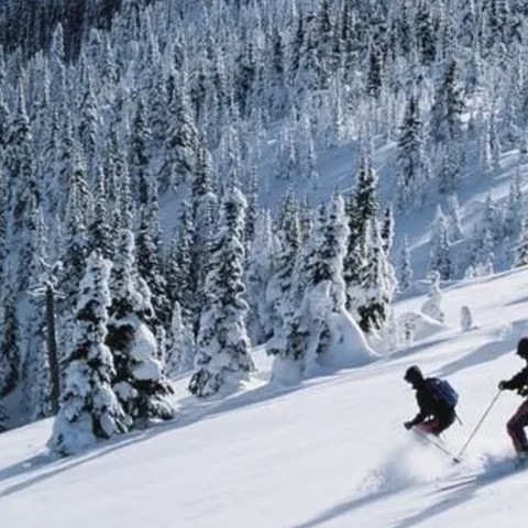 冬天我们一起去滑雪吧﻿