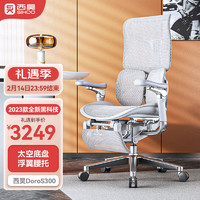 西昊DoroS300人体工学椅电脑椅电竞椅办公椅子老板椅可躺座椅