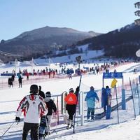 北京冬奥会一周年，这个冬天一起去滑雪吧！