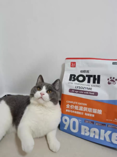 好吃的both猫粮