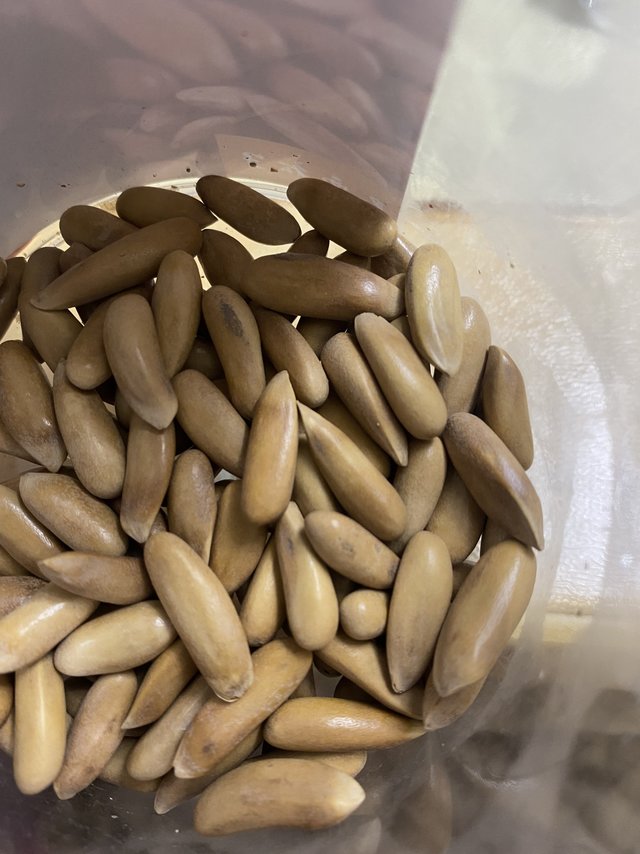 超级喜欢的巴西松子来啦