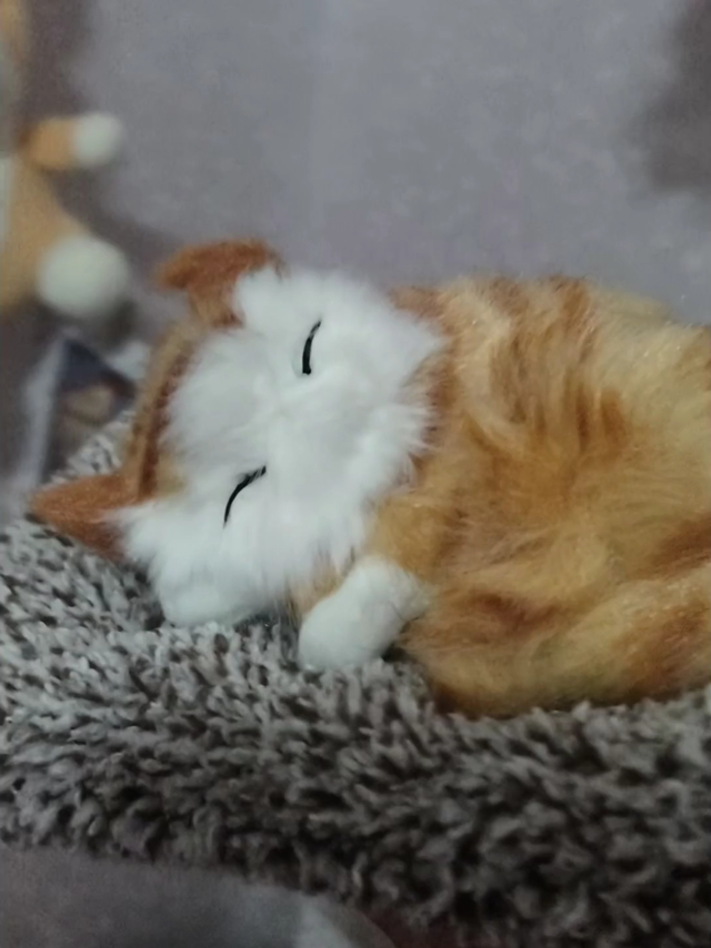 超可爱的小猫竹炭摆件