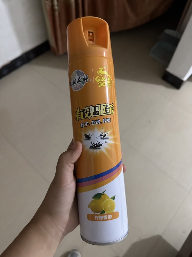 我愿称之为我家今年的蚂蚁终结者！！