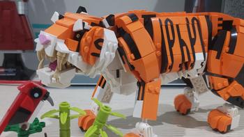 老杨的玩具仓库 篇一百零二：LEGO 创意百变三合一 31129 威武的老虎 开箱评测 