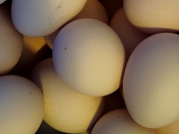 这个鸡蛋特别好吃早餐必备