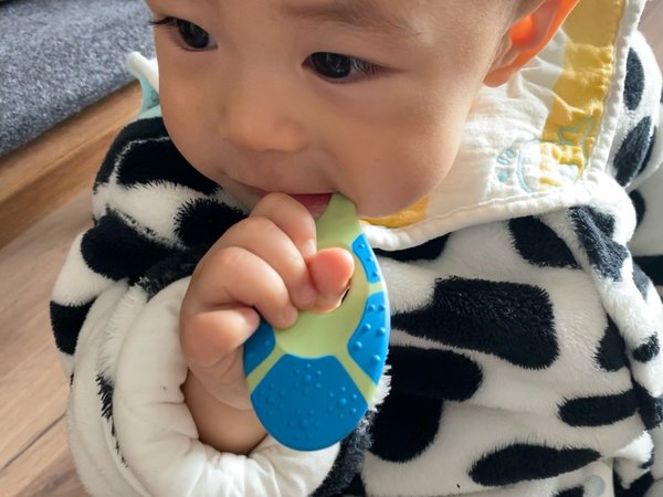 宝宝的第一支牙刷不会选？点进来看看