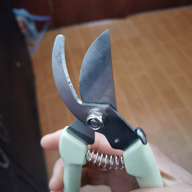 春天到，一起来玩园艺吧，工具都备齐了吗？