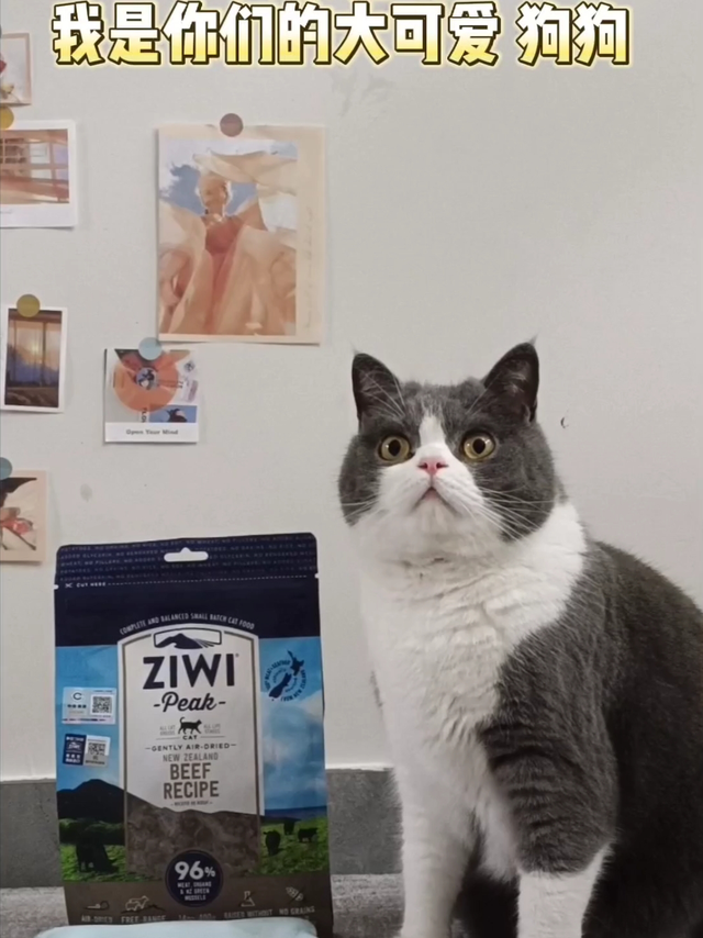 馋猫有福|我来试试新西兰的巅峰风干粮