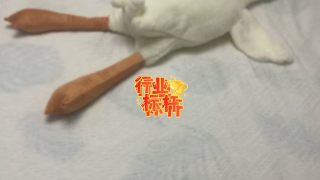 小宝宝超级喜欢