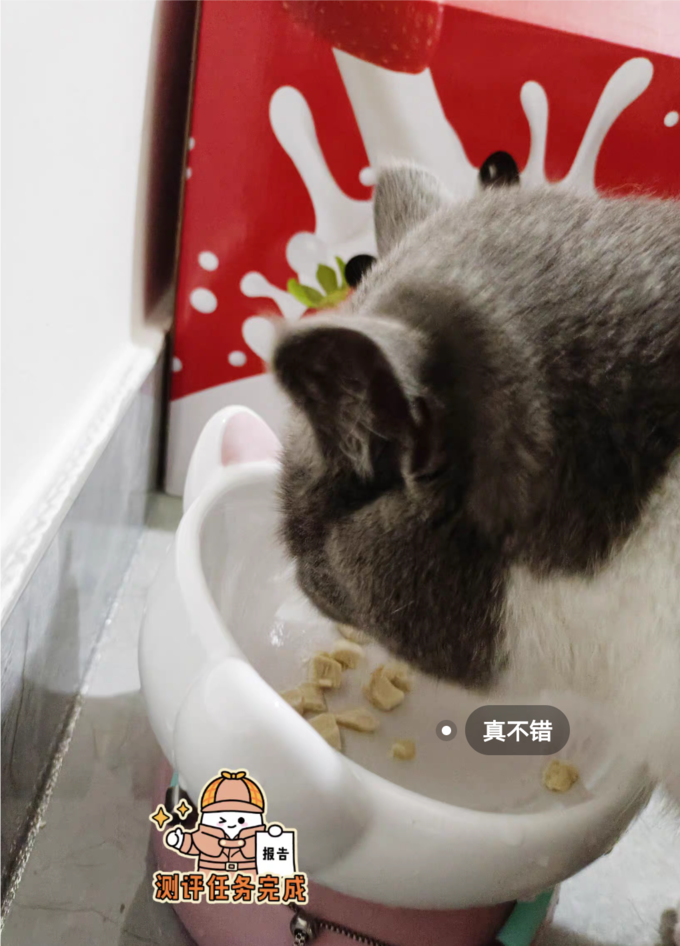 猫咪冻干零食