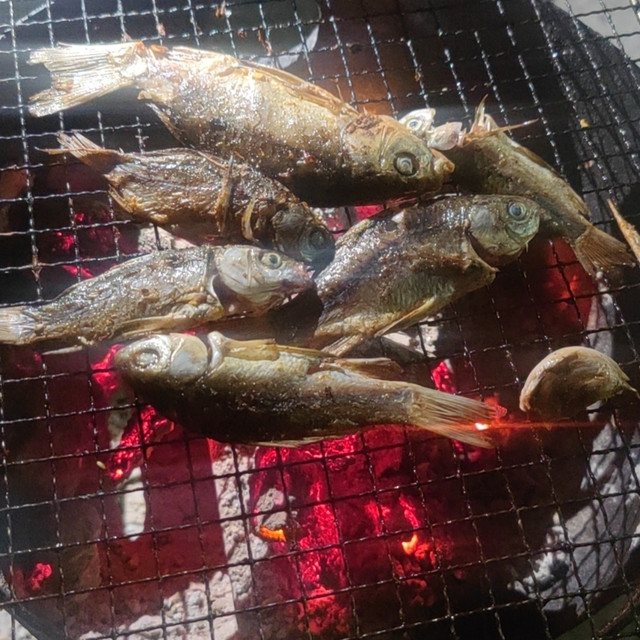 情人节怎么过，当然是在家里过了