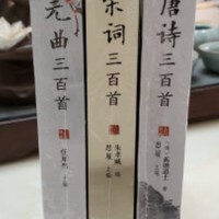 买了几本古诗词的书给小孩