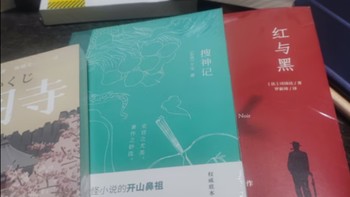 红与黑（司汤达诞辰240周年纪念版本，翻译泰斗罗新璋全新翻译。）