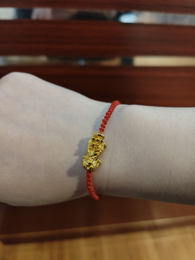 今年转运红红火火就靠它啦！👀