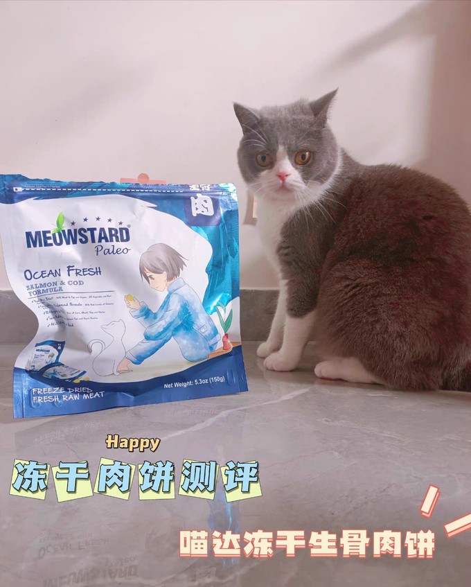 毛星球猫零食