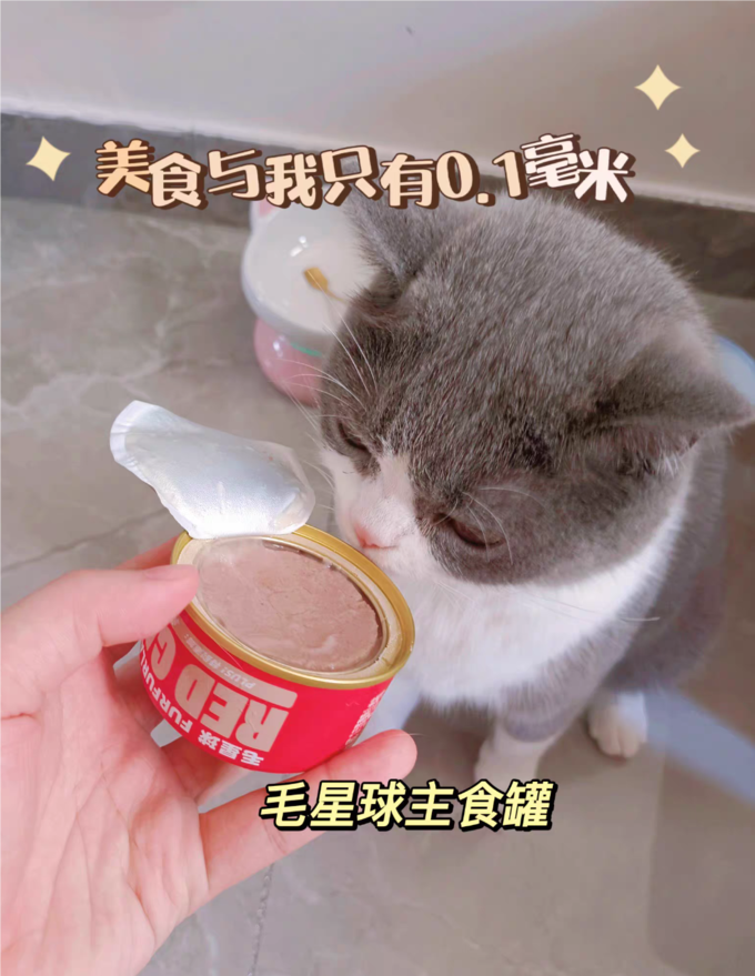 毛星球猫零食