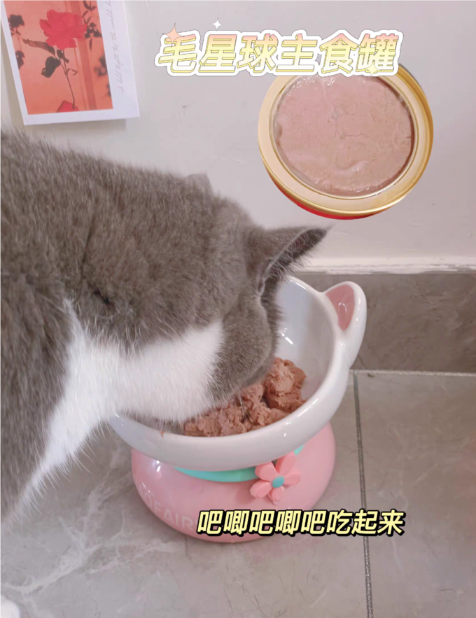 毛星球猫零食