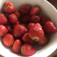 我的心上水果、爱上了草莓🍓