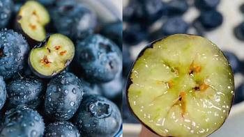 挑选蓝莓是越大越好吗？