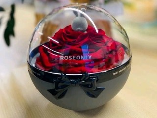 諾誓ROSEONLY永生花玫瑰花甜心兔心动花球