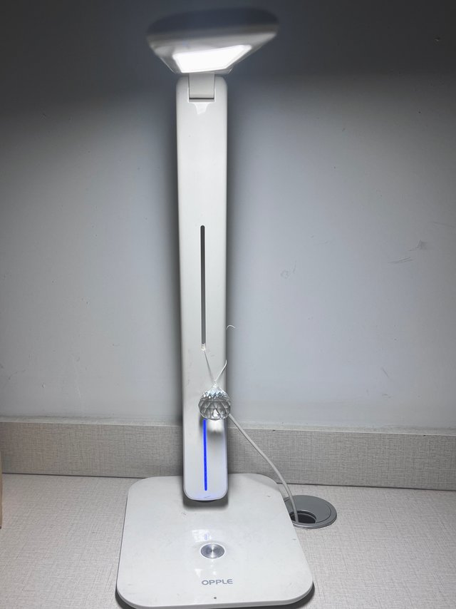 可以陪你从小学到老年的台灯