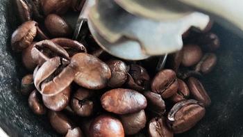 拉瓦萨（LAVAZZA）意式特浓咖啡豆