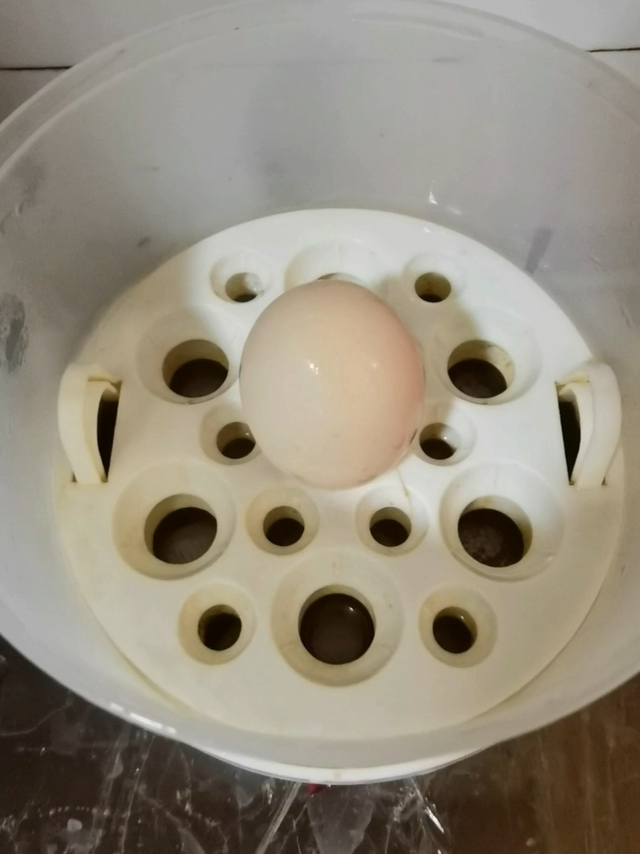 每天都要用的奥克斯煮蛋器