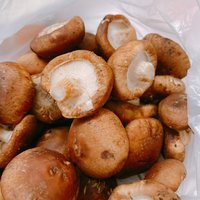 多吃菌菇类好处多多🍄香菇可以炒一切