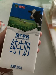超好喝奶香浓郁的纯牛奶