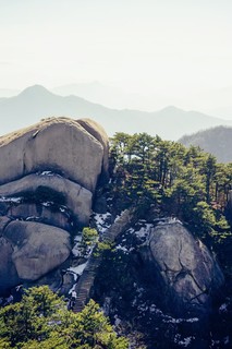 一寸长一寸强，腾龙50-400推荐你入一只