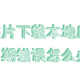 手把手教你把网盘备份照片下载本地后日期错误改回来