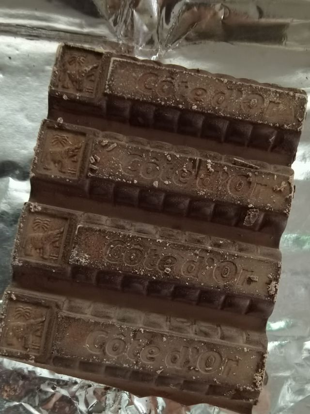 克特多金象黑巧