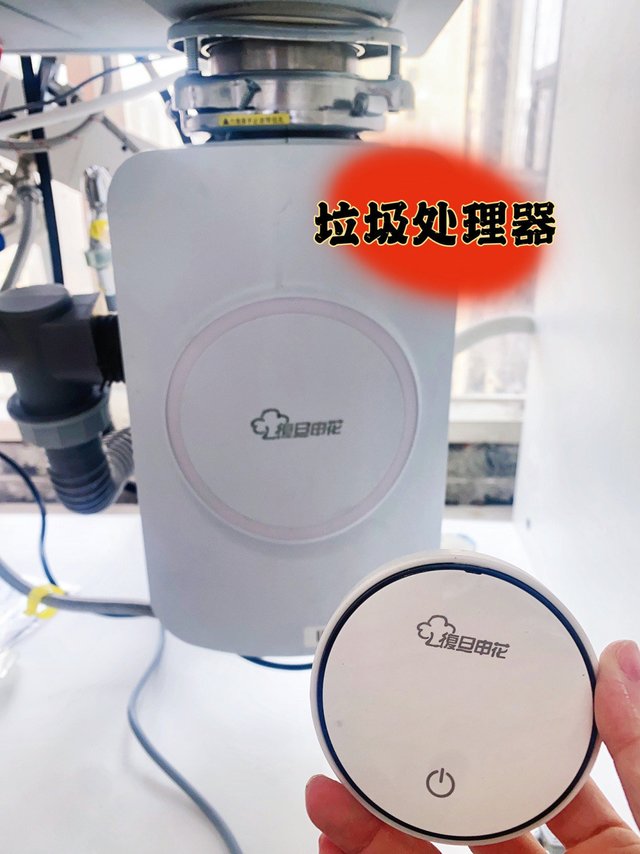 快来抄作业！！垃圾处理器·复旦申花🆚余库