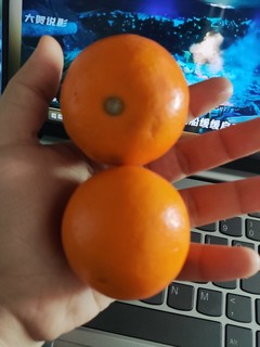 这个橙子太好吃啦