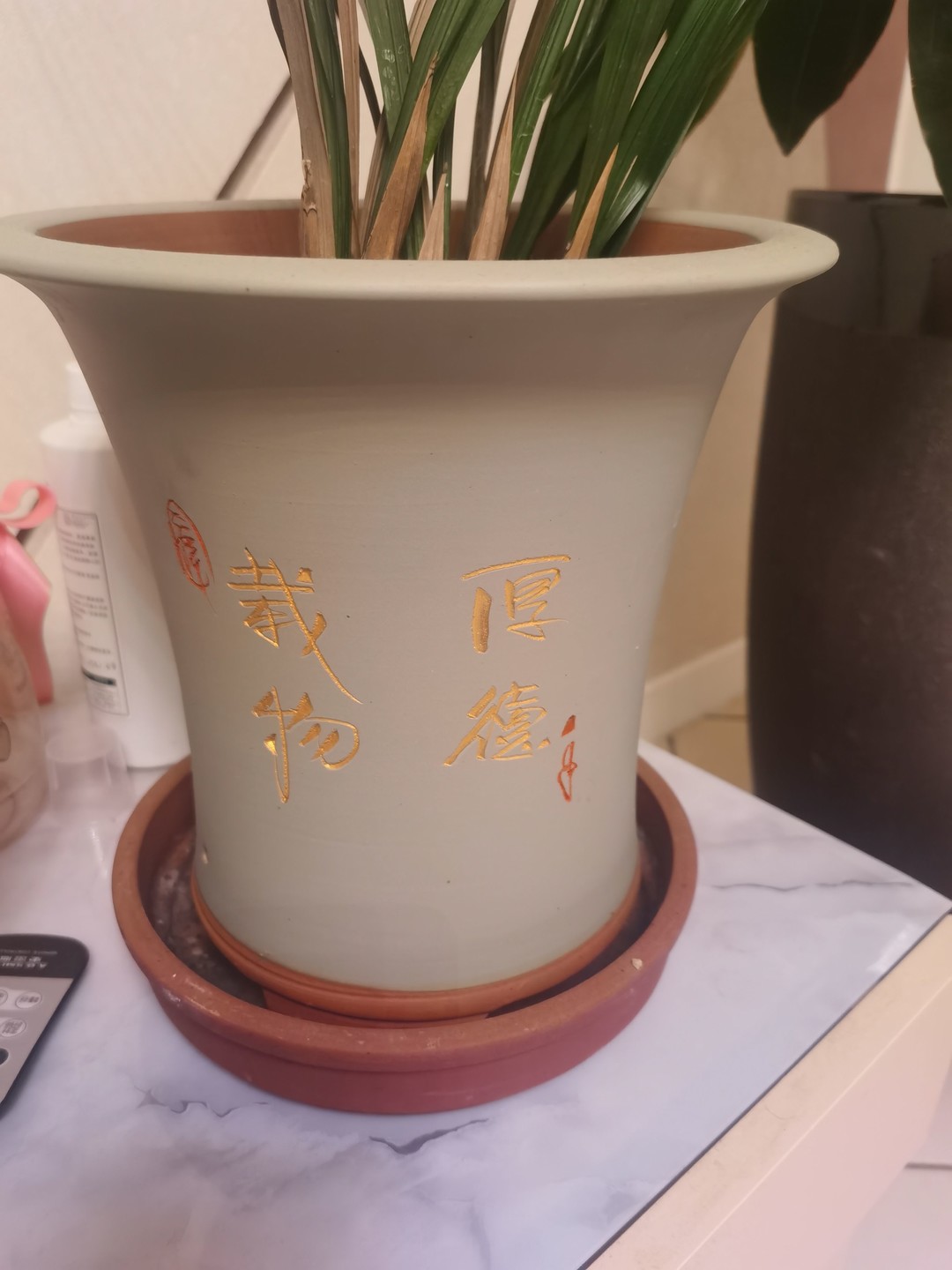 qq空间可以养花吗=空间养花的游戏怎么关闭