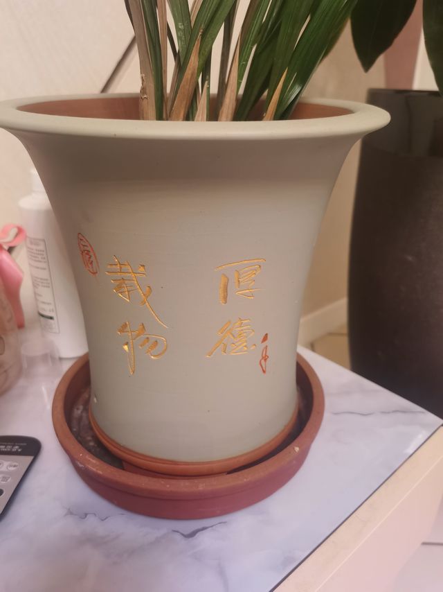 爱养花人士请往这边看！