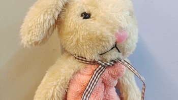 提升幸福感的家居好物 篇二百四十五：最可爱的兔兔厨房擦手布 